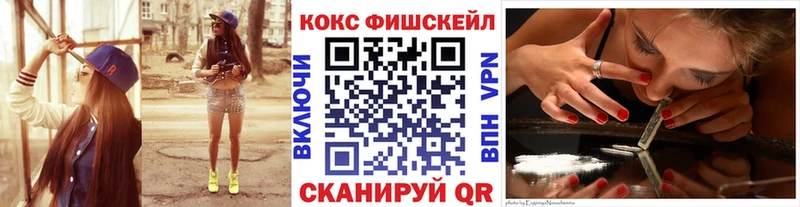 Купить закладки  Суздаль  Кокаин FishScale 