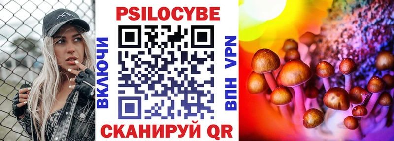 Купить  Суздаль  Псилоцибиновые грибы Magic Shrooms 